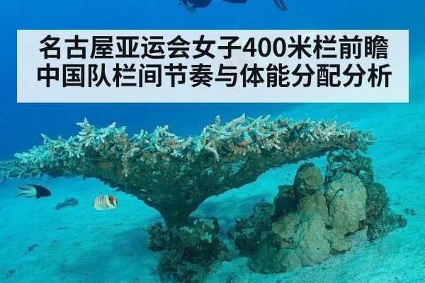 名古屋亚运会女子400米栏前瞻 中国队栏间节奏与体能分配分析 - jiuyou game